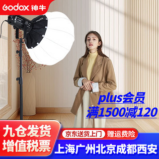 Godox 神牛 SL150w三代直播补光灯摄影打光灯 单灯套装-柔光球*1 官方标配