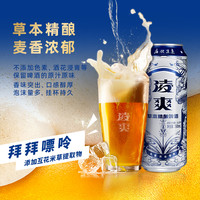 凌爽 精酿啤酒  1x12x500ml 包装 500ml