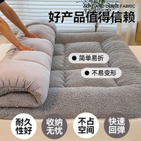 加厚羊羔绒床垫软垫冬季宿舍单人榻榻米海绵垫子垫被褥子加绒