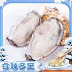 鲜京采 生蚝净重6斤 3XL
