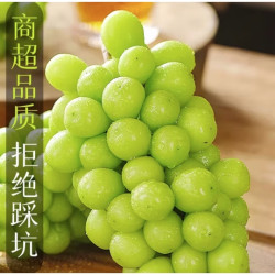 阳光玫瑰葡萄 500g