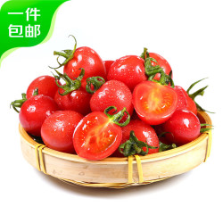 京鲜生 山东千禧贝贝小番茄净重4.5斤 水果西红柿圣女果源头直发