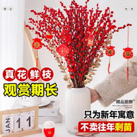 京佳乐年宵花银柳真花鲜枝春节耐寒花卉水培植物干花红色银柳客厅室内花 中国红银柳20支45cm(不含其它)