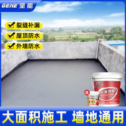 GENE 坚能 外墙防水涂料平房屋顶防漏水补漏防水胶房顶漏水专用裂缝补漏王