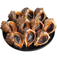 味优福鲜活 海螺 现捕新鲜 海鲜 贝类海鲜水产 精选海螺 0.5kg 一斤 7-9个