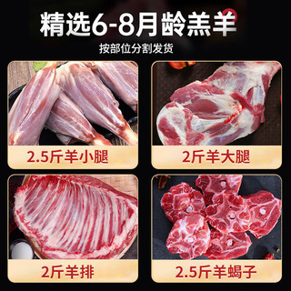 渔哥戏鱼羊肉  内蒙分割半只羊10斤 羊腿羊排羊蝎子烧烤炖煮食材 分割半只羊10斤装