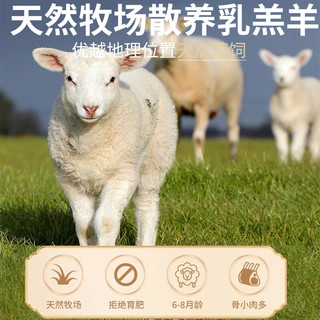 渔哥戏鱼羊肉  内蒙分割半只羊10斤 羊腿羊排羊蝎子烧烤炖煮食材 分割半只羊10斤装