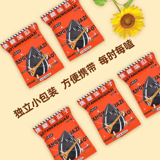 大千喜 焦糖味瓜子 独立小包装 4袋