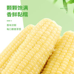 珍谷诱惑 东北白糯玉米 10支*200g