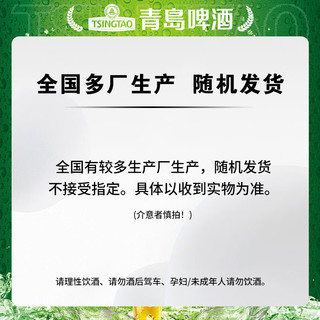 青岛啤酒（TsingTao）纯生系列百年酵母 肖战同款500ml*12听 整箱装 假期出游