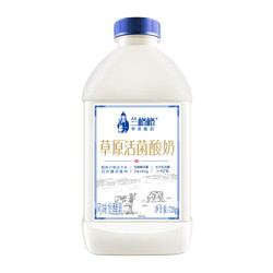 兰格格 蒙古草原活菌酸奶720g  生鲜低温酸奶酸牛奶