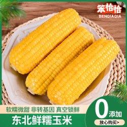笨恰恰 黄糯玉米 250g*8根