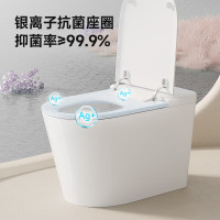 HUIDA 惠达 JC系列 HDTB-EX09 智能坐便器 305/300mm坑距