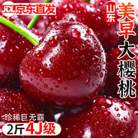 诱鲜地山东美早大樱桃礼盒2斤JJJJ级巨无霸32mm+车厘子水果源头直发