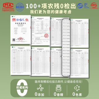 茉莉花茶特级浓香型2024新茶茉莉绿茶茶叶自己喝店
