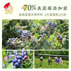 雲娘食記 云南 蓝莓糕 200g