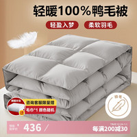 源生活100%羽毛被子被芯 加厚冬被8斤 填充2500克