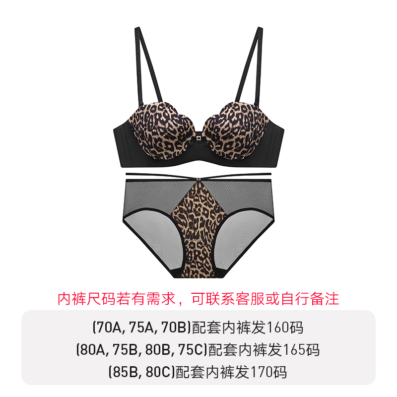 正黑1号加一-套装