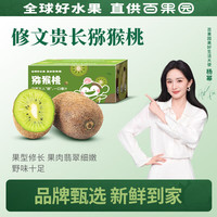 PAGODA 贵州修文贵长猕猴桃  24粒 单果50-70g