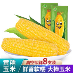 HE YU XIAN 禾语鲜 黄糯玉米 8支装