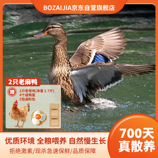BOZAIJIA波仔家洪湖老麻鸭散养老鸭新鲜总净含量4斤（2只）源头直发