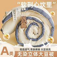 朴依 A类大豆被被芯 8斤200*230cm冬被