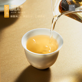 六妙白茶会茶叶散茶2022年荒野一级白牡丹福鼎白茶泡袋装50g 5g*50泡