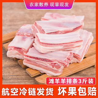 大漠时光宁夏滩羊肉生鲜半只羊羔肉羊蝎子羊腿新鲜羊排现宰整半只烧烤礼盒 羊排3斤装【甄选精品】