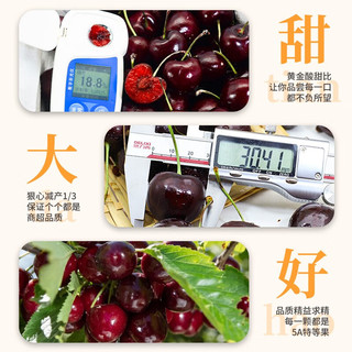 颜曼箐智利进口车厘子【多地次日达】jjjj级车厘子樱桃新鲜水果 J级大果原箱 26-28mm