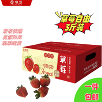 京觅无锡宜兴红颜草莓 生鲜水果 颗粒饱满 （单果15克+）
