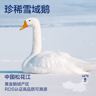 网易严选【中国大鹅】90白鹅绒羽绒服加厚保暖5A高蓬松云感-20℃抗极寒冬 短款-香草黄 L