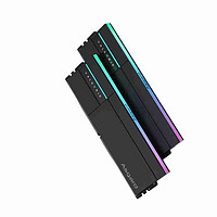 Asgard 阿斯加特 32GB(16Gx2)套 DDR5 6000 台式机内存条 RGB灯条-女武神·瓦尔基里Ⅱ代极夜黑