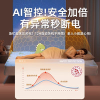 志高电热毯双人双控智能自动断电宿舍除螨定时家用电热垫电暖毯 ✨【智能控温定时定档】自动断电保护✨