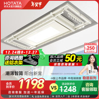 好太太 HOTATA电动晾衣架 智能晾衣机隐形嵌入阳台照明 室外自动隐藏式晾衣服架 D-3086T：超薄大屏照明+离线语音