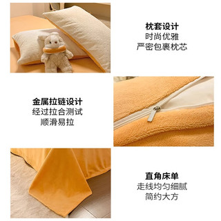 红豆家纺牛奶绒床上四件套被套加厚法兰绒床单冬季珊瑚绒床笠被罩床品套件