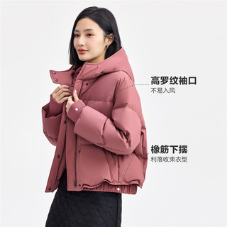 佐丹奴三防羽绒外套女24冬工装风连帽防风控温蓄热羽绒服05374744 L