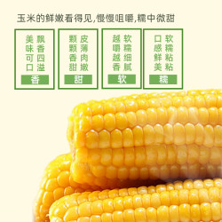 笨恰恰 黑龙江黄糯玉米 250g*8 真空装