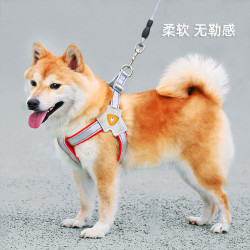 Colourful 狗狗牵引绳背心式宠物胸背带遛狗绳中小型柴犬柯基比熊泰迪狗链子