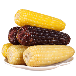 馋半仙 庆阳合水甜糯香玉米 10支*200g  （5黑5黄  ）