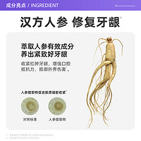 ZETTOC STYLE 泽托克 Zettoc/泽托克 人参肉桂薄荷牙龈护理牙膏 120g