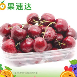 果速达 智利车厘子 JJ100g