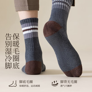 都市丽人 COSMO LADY雪地袜子男士秋冬100%纯棉中筒袜保暖加绒加厚毛圈长袜男士4双装