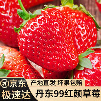 知鲜湾 丹东99草莓九九草莓新鲜草莓单果25g净重1.8斤源头直发包邮