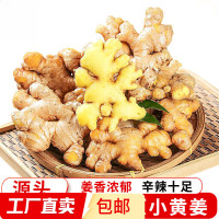 others 其他 云南小黄姜生姜黄姜 3斤