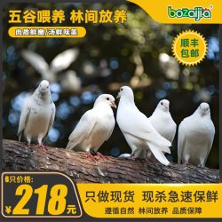 BOZAIJIA 波仔家大别山林间放养乳鸽总净含量1800g（6只)源头直发