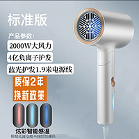 小米有品 通用吹风机家用静音负离子大功率不伤发3000W高速吹风筒发廊折叠 标准2000-折叠+变频