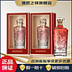 WULIANGYE 五粮液 龙年限定礼盒 52度 浓香型白酒 500mL*2瓶