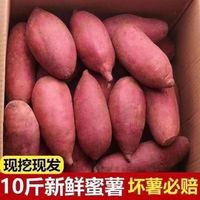 言觉 板栗蜜薯 西瓜红 沙地小香薯 9-10斤装
