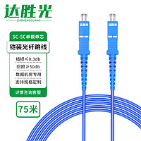 达胜光 电信级铠装光纤跳线75米SC-SC单模单芯抗拉压防鼠咬低烟无卤环保尾纤连接线 DSG-1KSUSU75S