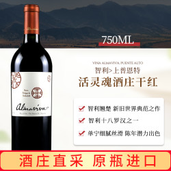 赛尚名庄 活灵魂 上普恩特干型红葡萄酒 2018年 750ml
